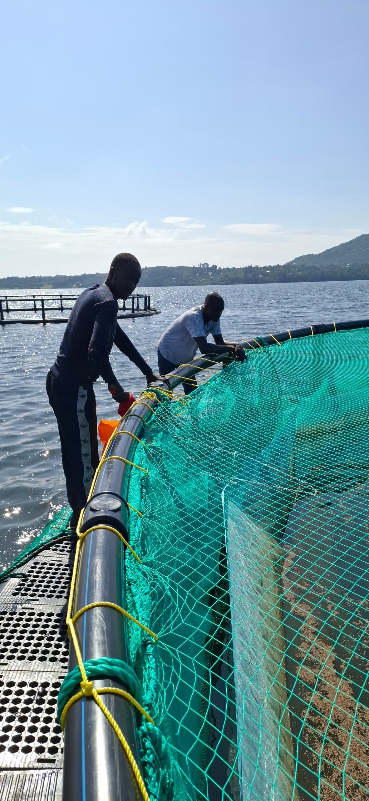 Imagem do WhatsApp 2024-11-25 &agrave;s 18.44.57