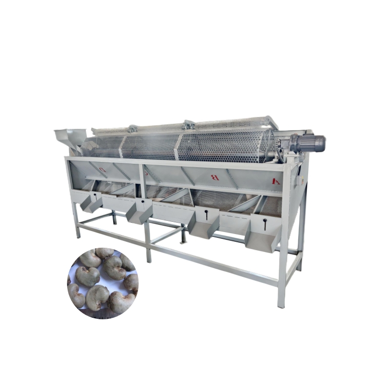 m&aacute;quina de classifica&ccedil;&atilde;o de caju 9